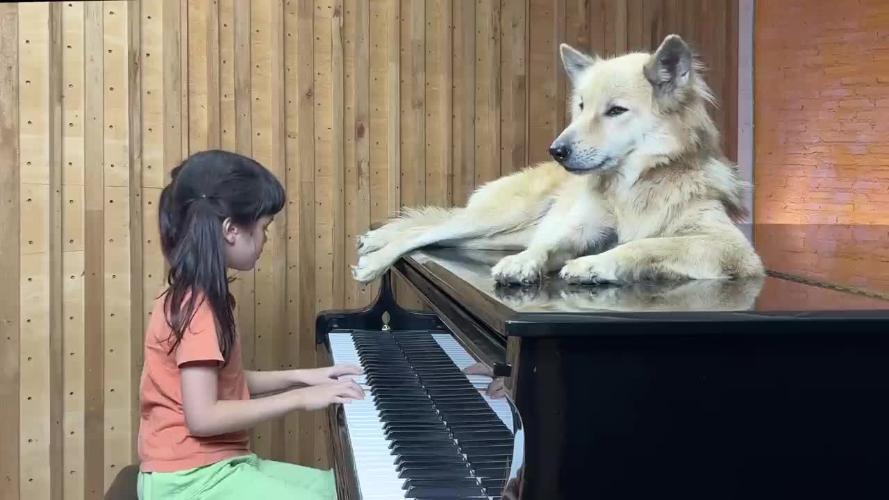 "Moon River" on Piano for Sharky the Dog