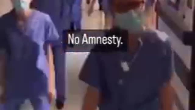 Amnesty My FKN ASS