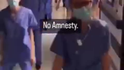 Amnesty My FKN ASS