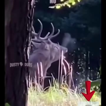 How more fun can be ? :D