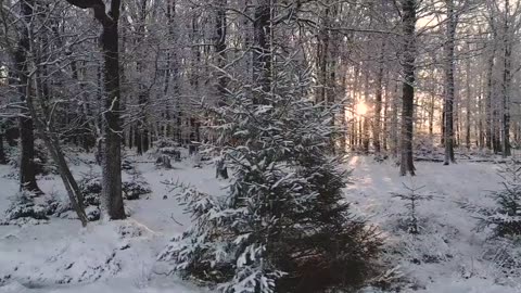 snowy days morning routine you have never seen before