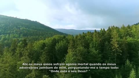 SALMOS 42
