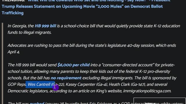 Georgia RINO's To Give $6,000 Per Child To Illegals