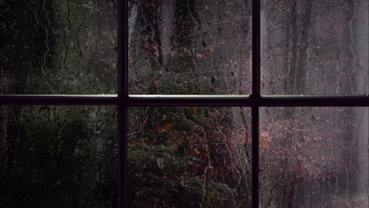 Window