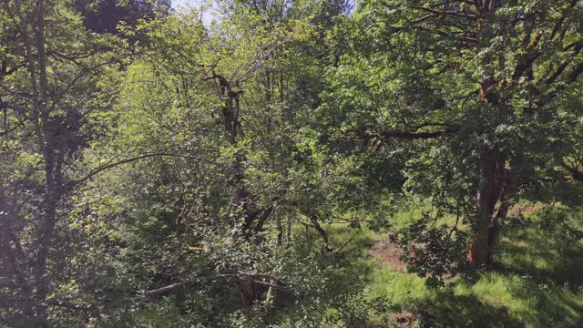 Trip to see the cows, 05-11-2021