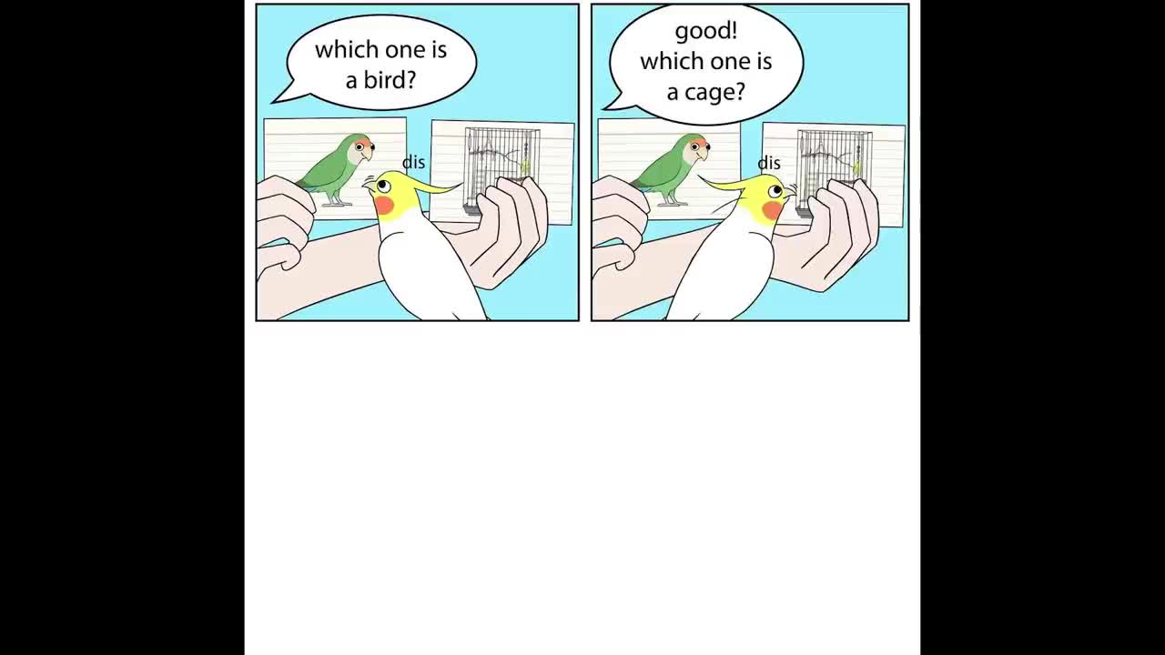 Comics With A Parrot Twist