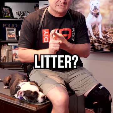 How to Pick the Right Breeder