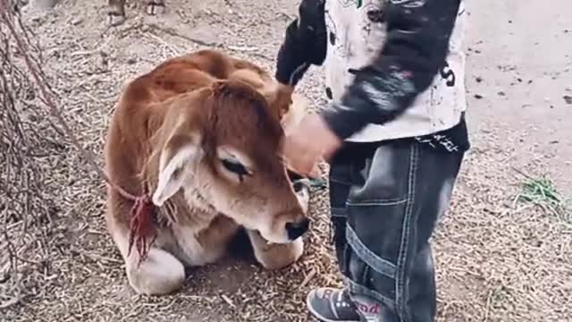 My brother having fun with cutii