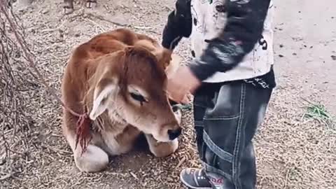 My brother having fun with cutii