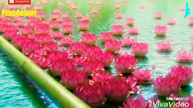 Amazing 3d Lotus Pond Animation Video By Prasenjeet Meshram