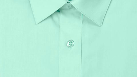 The Slim Fit Dress Shirt