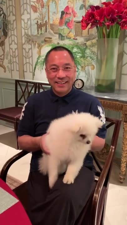 20190207文贵先生视频¹：感谢所有关心snow 的战友们！一切都是刚刚开始！