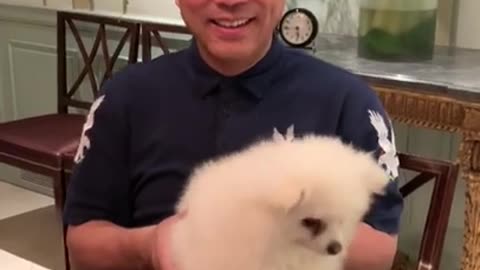 20190207文贵先生视频¹：感谢所有关心snow 的战友们！一切都是刚刚开始！