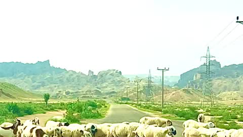 Balochistan