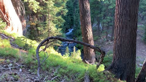 Central Oregon - Three Sisters Wilderness - Calming Gentle Creek