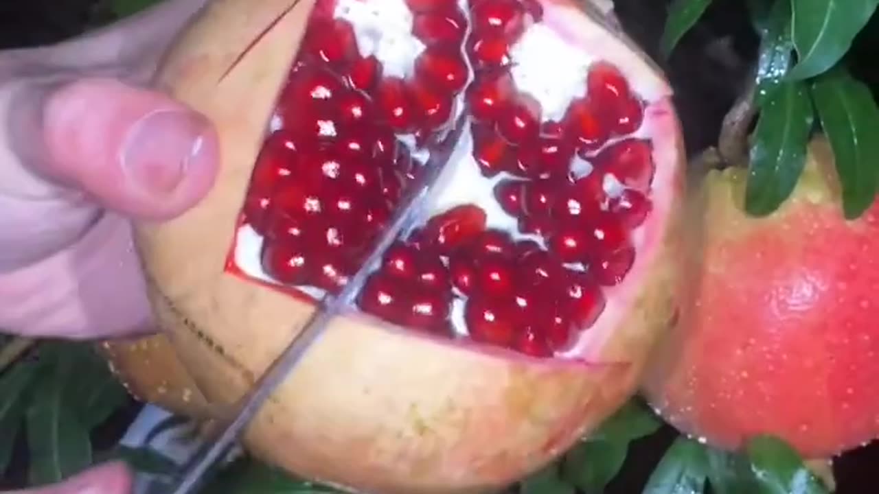 Very fresh and sweet pomegranate - For fruit lovers 8