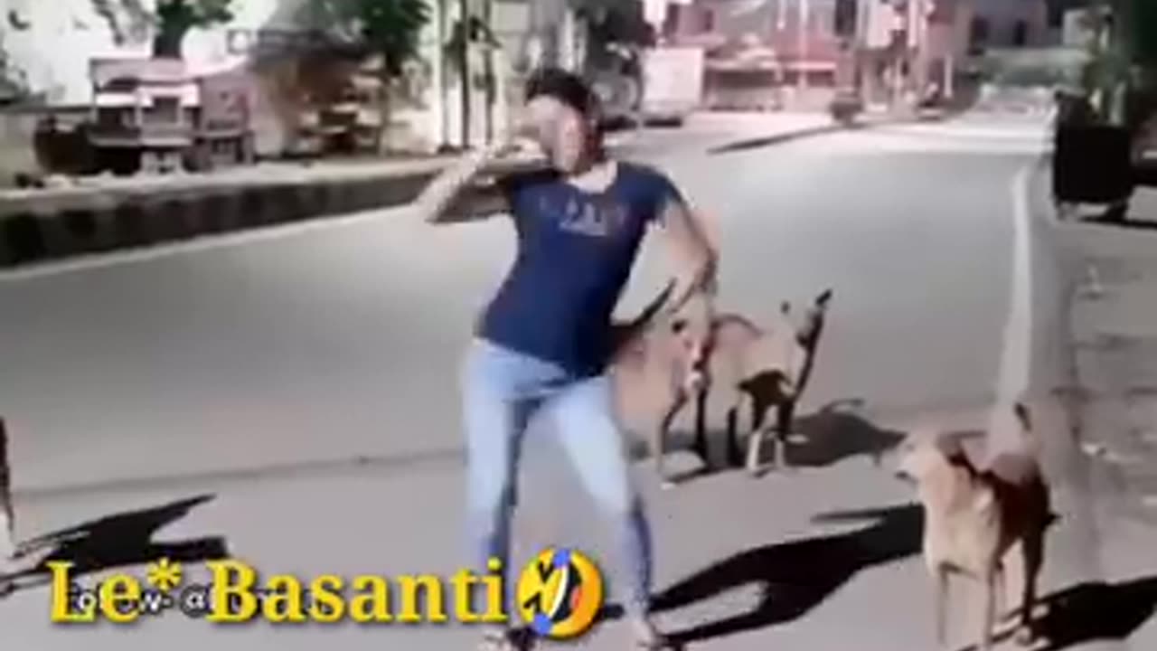 dogs dance with me on road