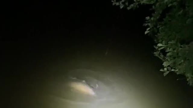 It was four o’clock on a misty