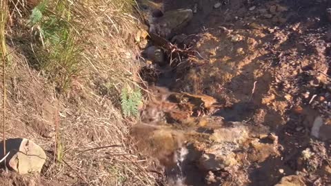 Natural waterfall still running after flood