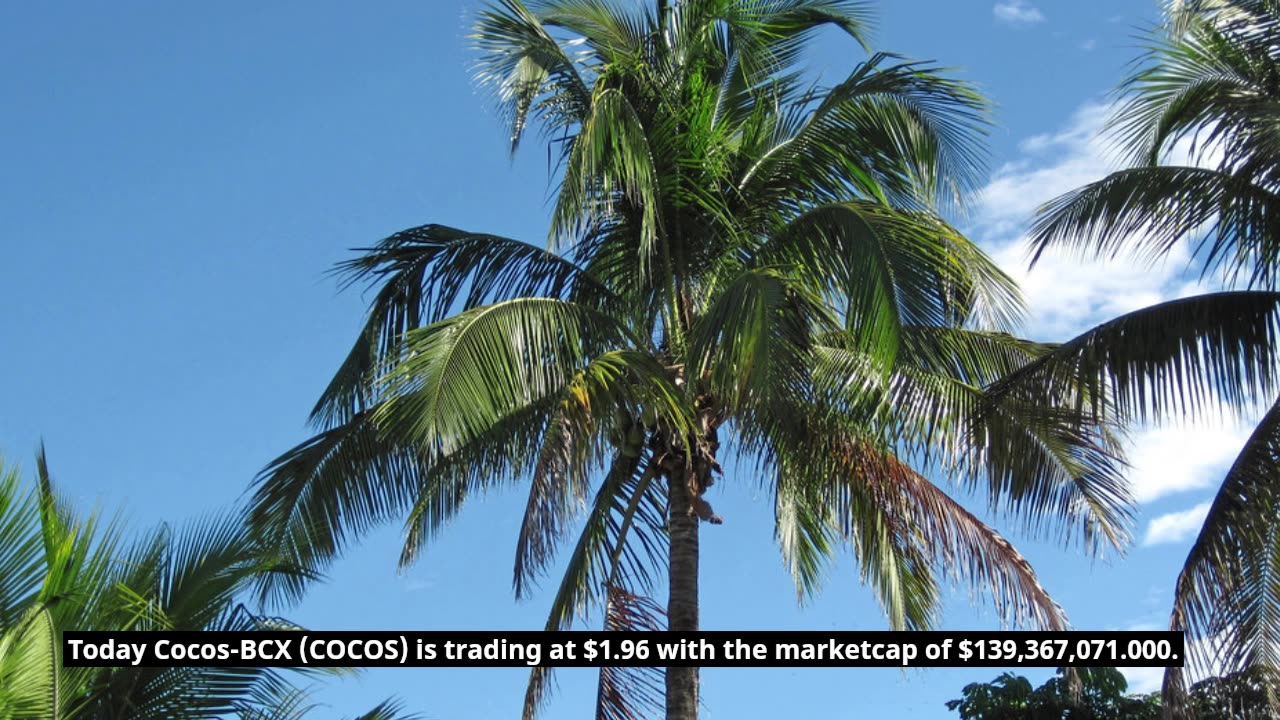 Cocos-BCX Price Forecast FAQs