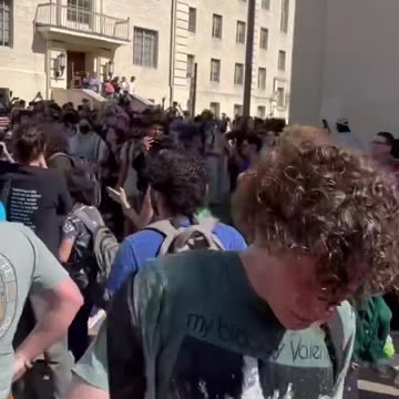 UT-Austin Protestors Hit With Pepper Spray By Police, Have Meltdowns When Carted Off: Part 3