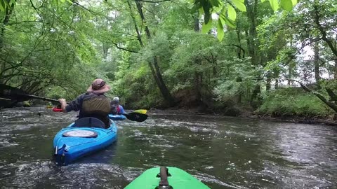 Upper Little River Ross rd., to Erwin NC low water run