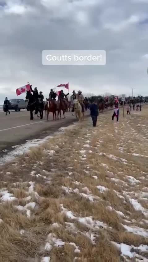 Happening now: New Zealand Truck convoy, the movement is going global