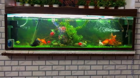 diy to increase aquarium filter pressure