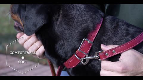 Handmade Tuscan Italian Leather Dog Collar - Available in 8" - 26" | Custom Nameplate Engraving!