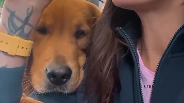 Trevel with dog amazing video