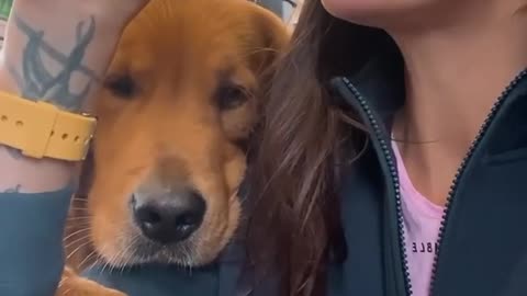 Trevel with dog amazing video