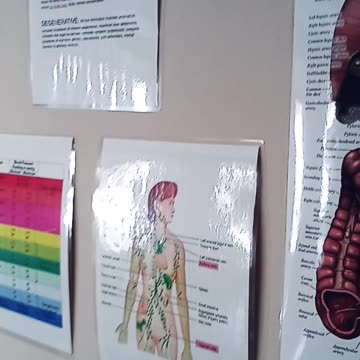 The life of a healthcare provider