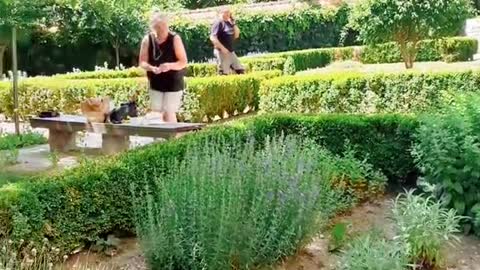 Escape from the heat 🌞 to the shade of the castle garden trees 🌳🌚