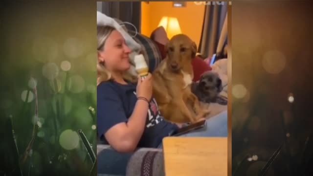 πππ₯π₯π²π²Through the mouth of dog watching water πππππ₯π₯π²π²