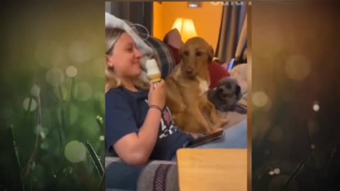 🐕🐕🔥🔥😲😲Through the mouth of dog watching water 🐕🐕🐕🐕🔥🔥😲😲