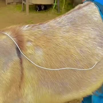 😁😂😂🤣🤣🤣🙈