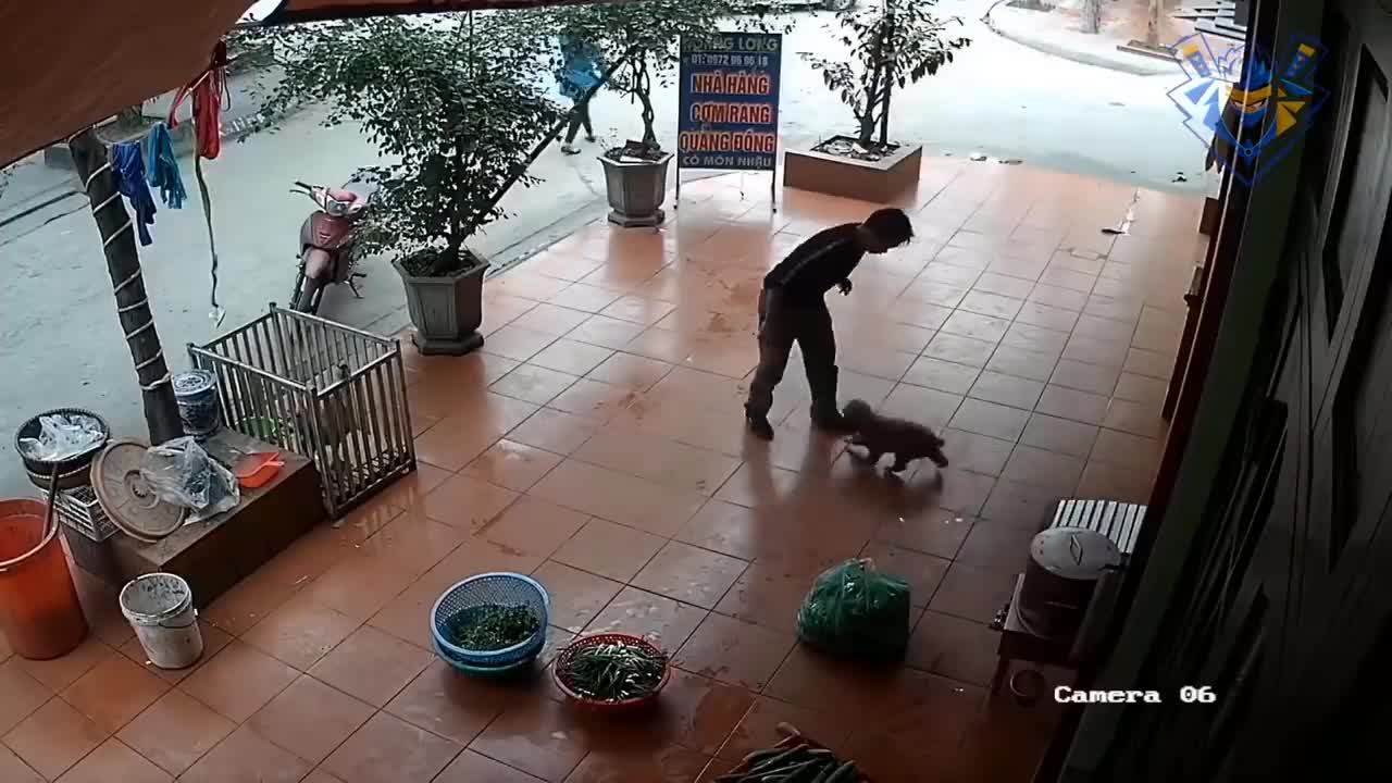 Funny animal attack. 99% try very hard to not laugh.