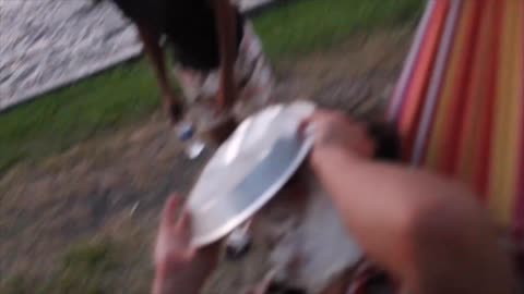 Pieing Jake 2