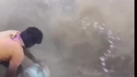 Holi celebration goes wrong