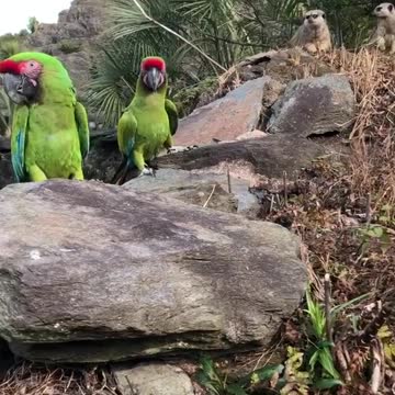 Territorial battle - Don't spread your territory on your own.