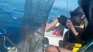 Pesca Esportiva