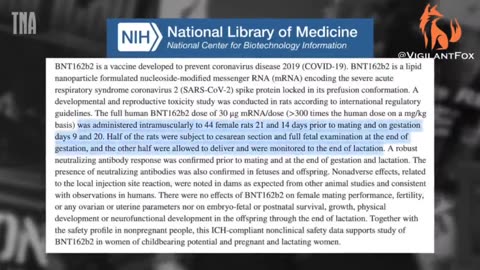 Pfizer claim that the mRNA vaccines were “Safe and Effective” in pregnancy is BS