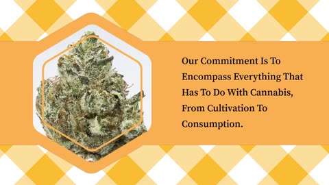 Weed Delivery Welland