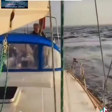 FLAT OCEAN, WHY? BEYOND THE SEA WALL!