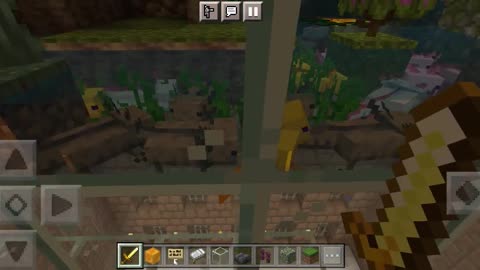 Minecraft zoo