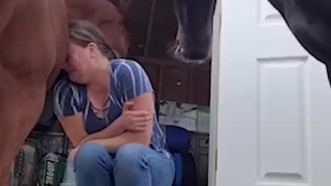 Her horse comforts her