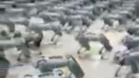 Dla kogo, do czego i do czego to jest przeznaczone?