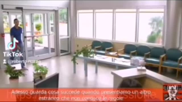 Interessante esperimento