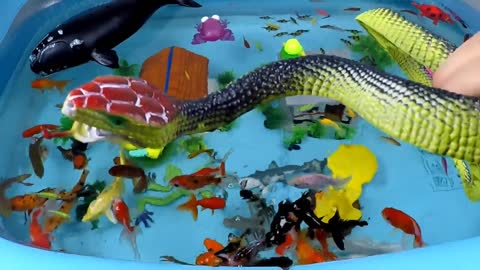 Cute Animals, Giant Whale, Crocodile, Flapping Duck, Black Shark, Turtle, Seahorse, Snake, Goldfish