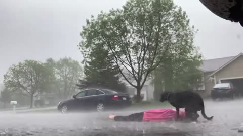 Dog has heartbreaking reaction to his owner